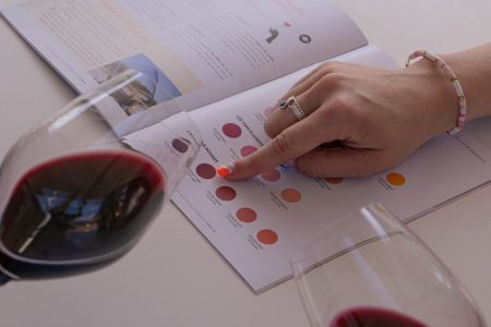 initiation dégustation